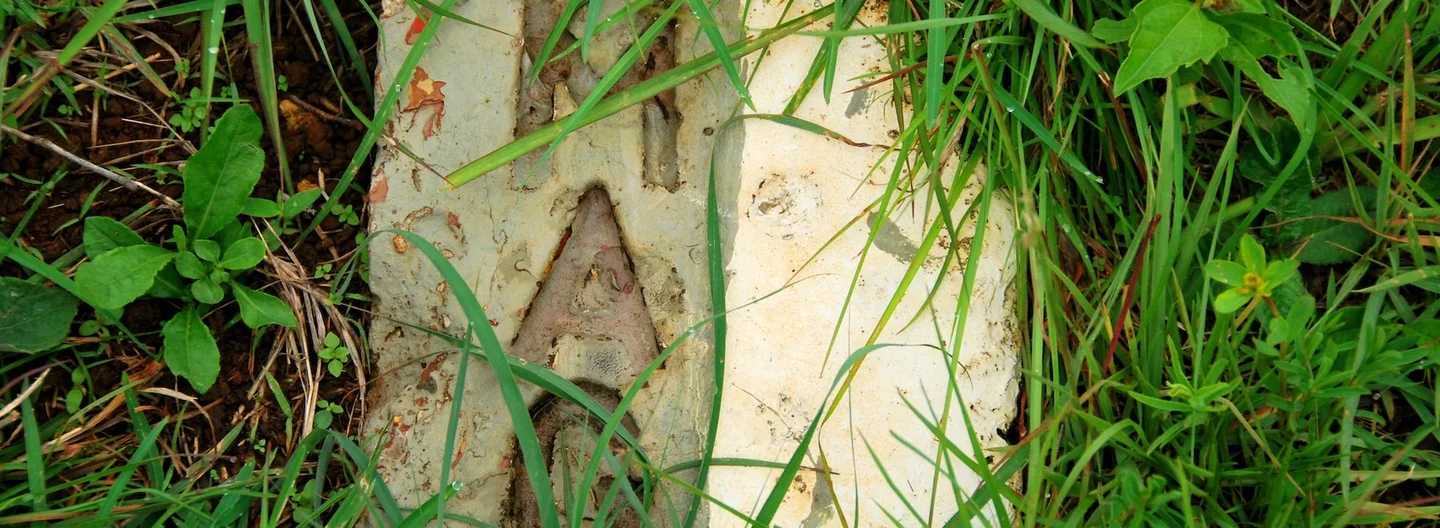 A weathered landmine warning sign marked with "MAG" partially hidden among tall grass.
