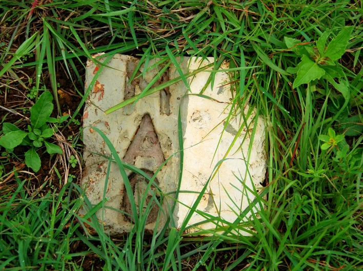 A weathered landmine warning sign marked with "MAG" partially hidden among tall grass.