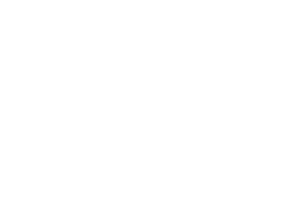 Whizz Kidz logo