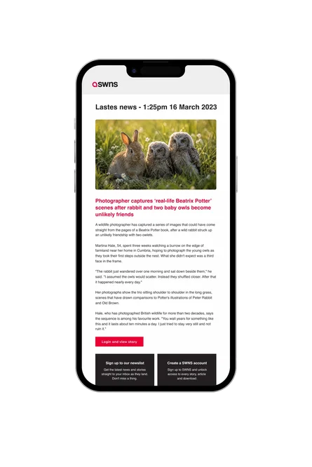 A phone showing an SWNS news email, with a "real-life Beatrix Potter" story about a rabbit and two owls, and a Login and view story button.