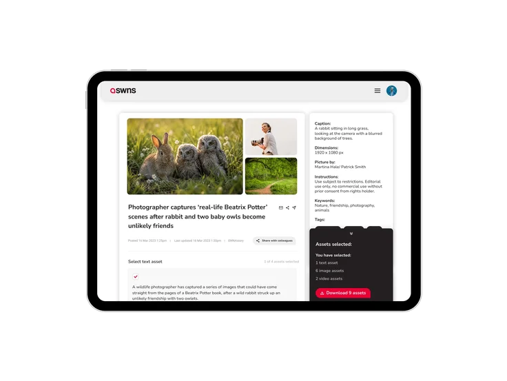 A tablet showing an SWNS story asset page, with photos of a rabbit and owls, caption and licensing details, and a panel showing 9 selected assets ready to download.