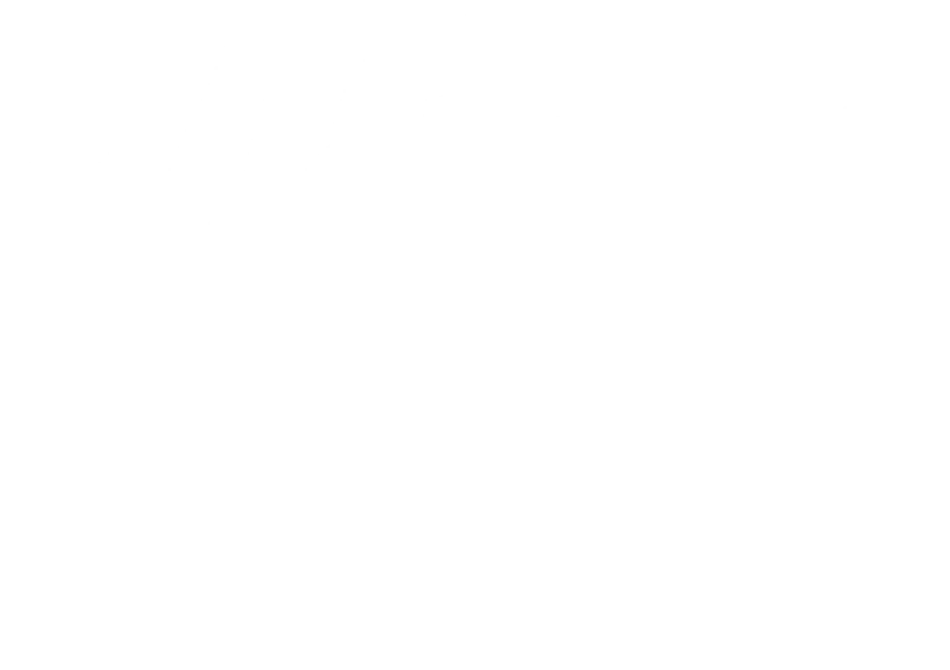 Whizz Kidz logo