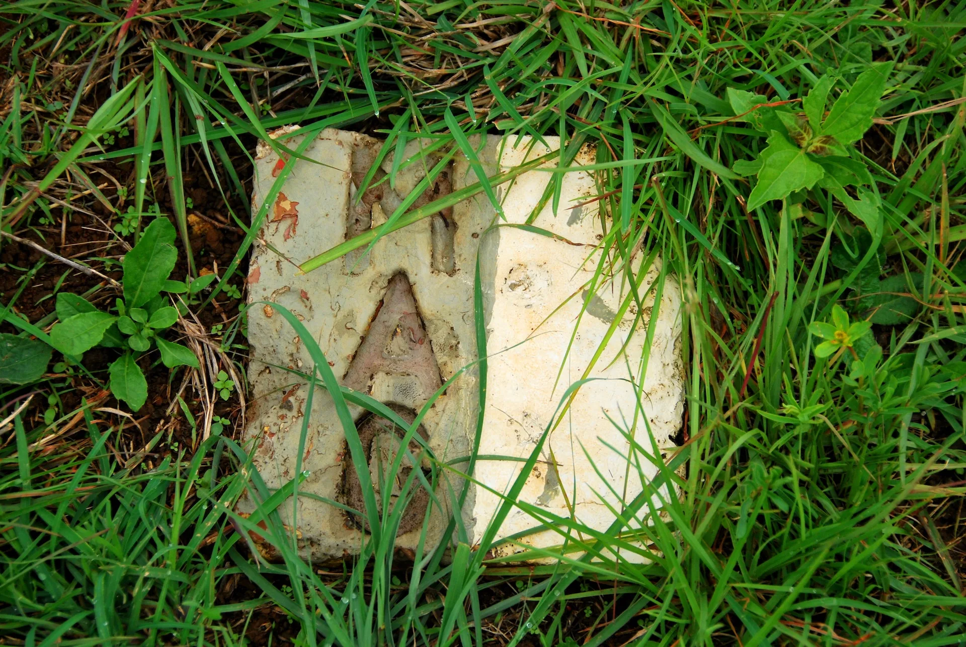 A weathered landmine warning sign marked with "MAG" partially hidden among tall grass.