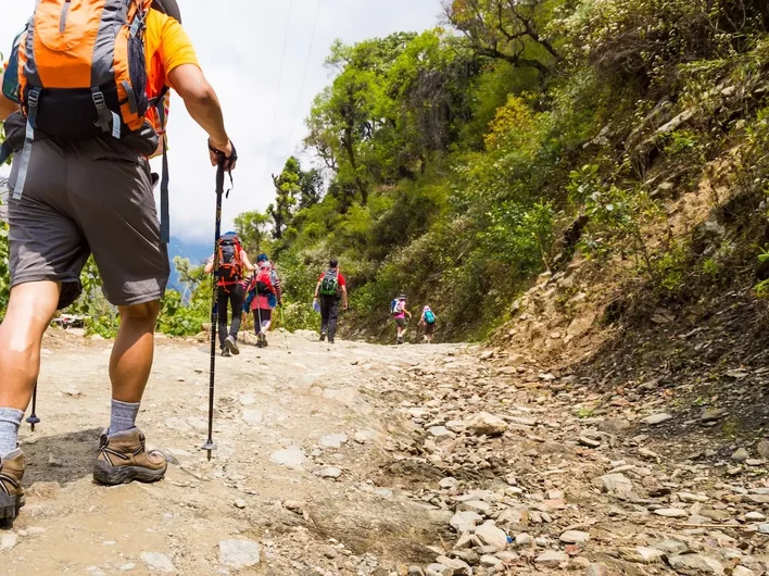 A group of hikers with backpacks and walking poles trekking up a rocky mountain trail surrounded by lush green forest.